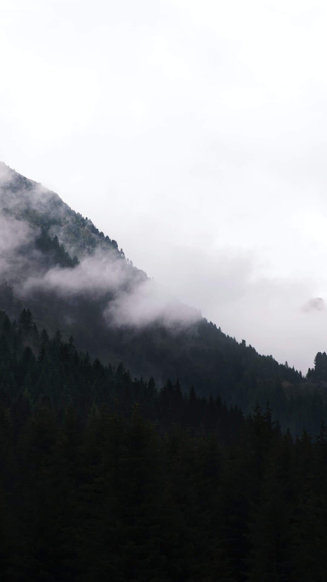 Aesthetic Wallpaper #2109