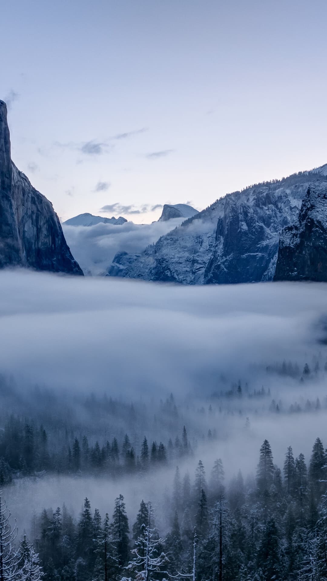 Aesthetic Wallpaper #442