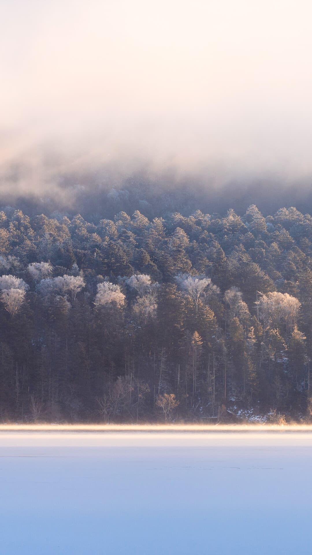 Aesthetic Wallpaper #4116