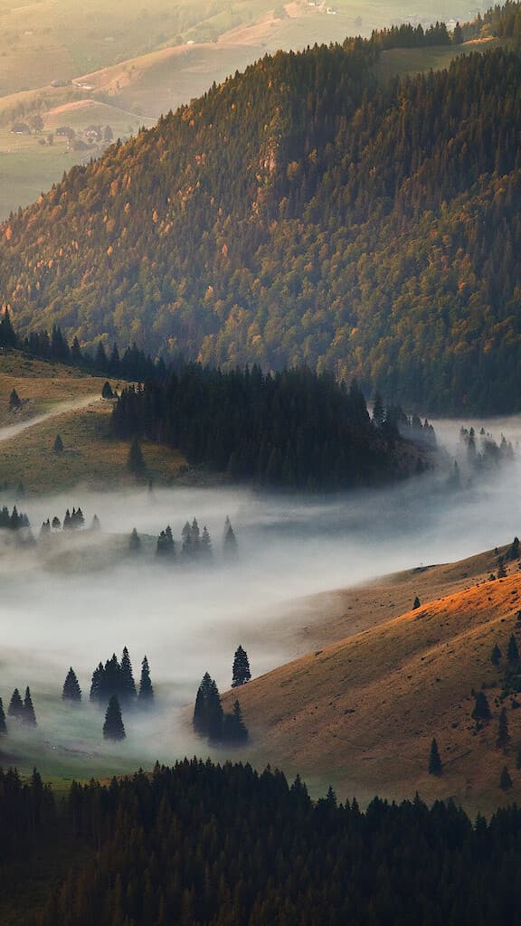 Aesthetic Wallpaper #3099