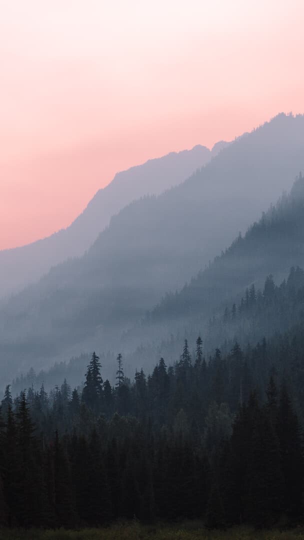 Aesthetic Wallpaper #4398