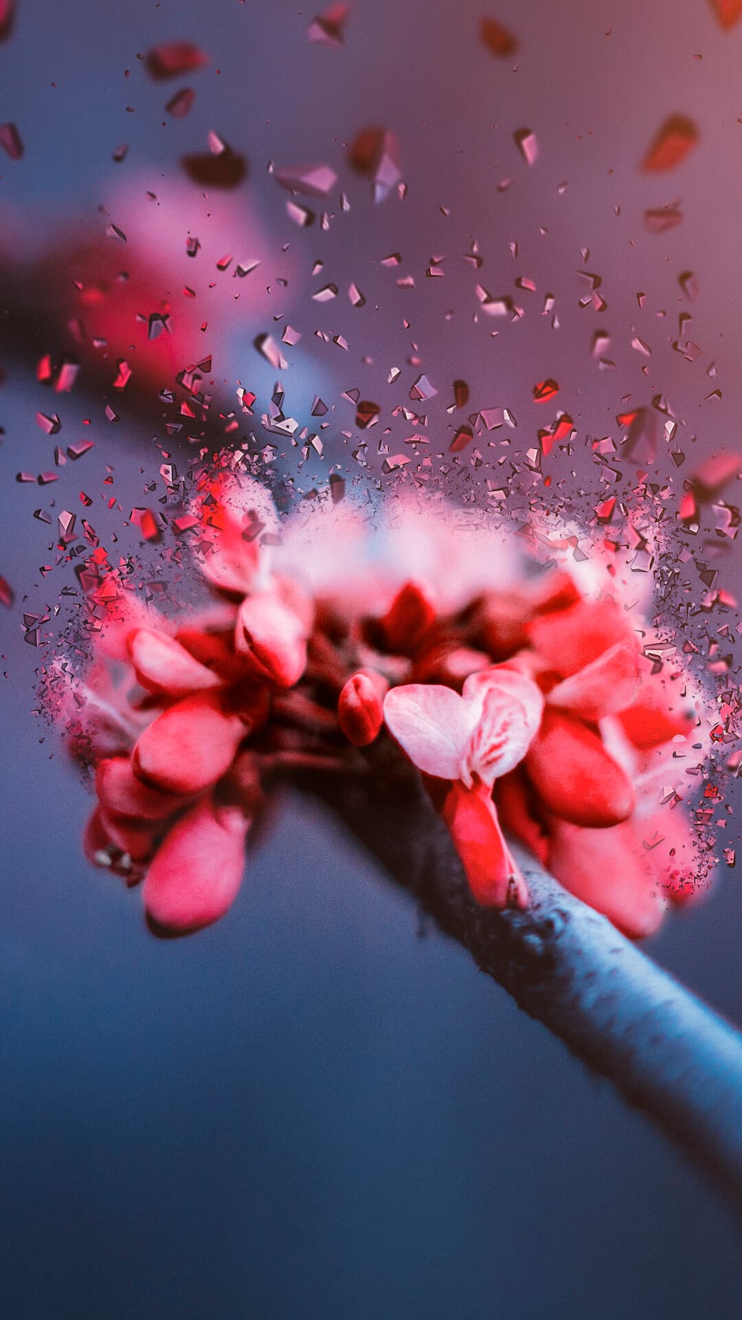 Aesthetic Wallpaper #3924