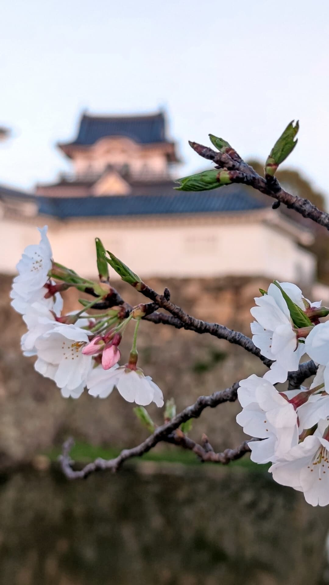 Aesthetic Wallpaper #978