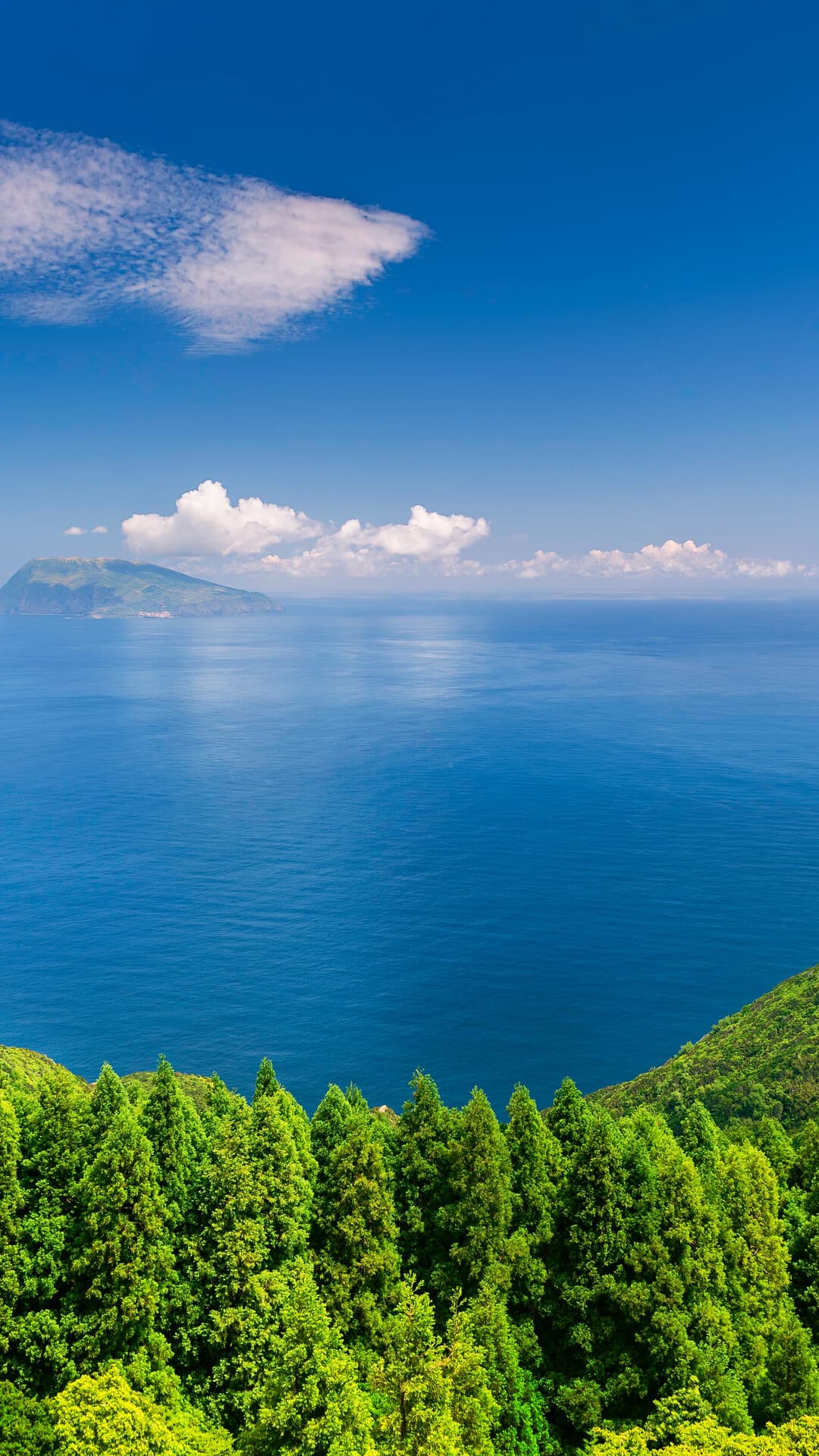 Aesthetic Wallpaper #2824