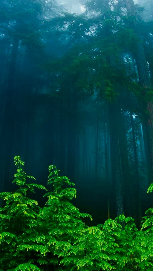 Aesthetic Wallpaper #104