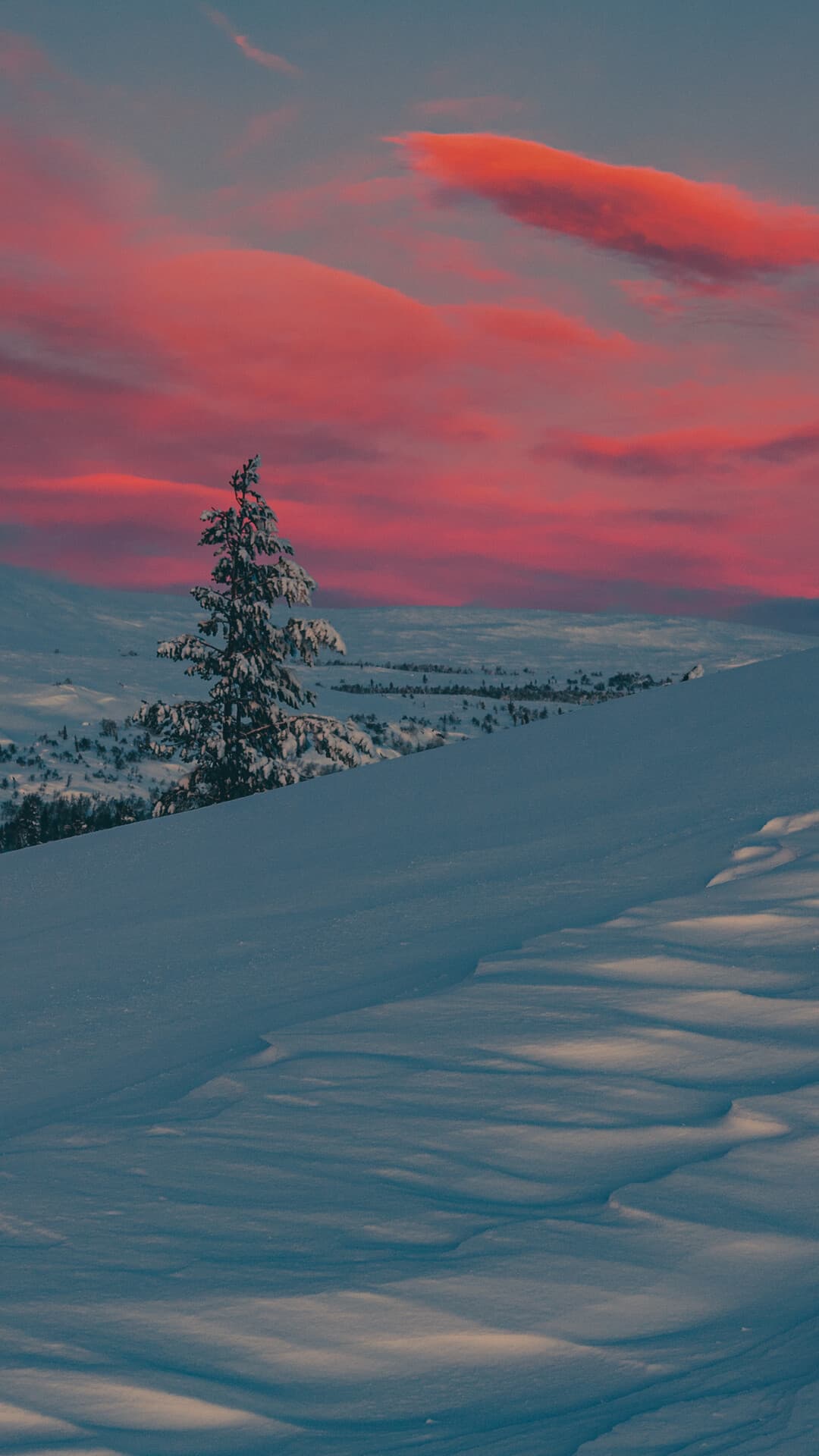 Aesthetic Wallpaper #395