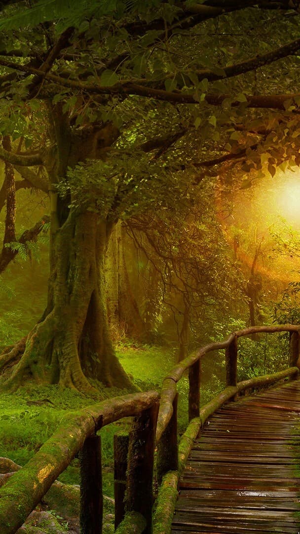 Aesthetic Wallpaper #4491