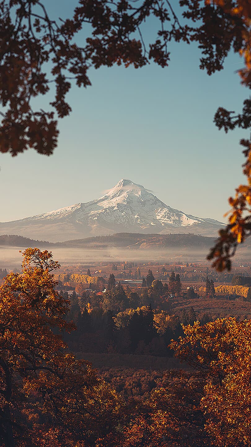 Aesthetic Wallpaper #2830