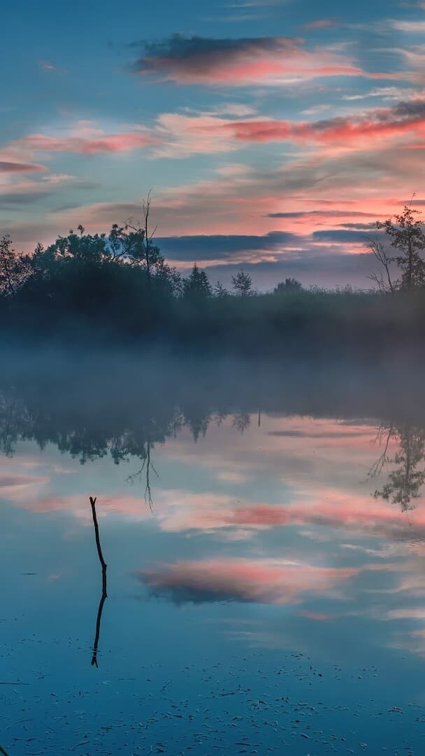 Aesthetic Wallpaper #3318