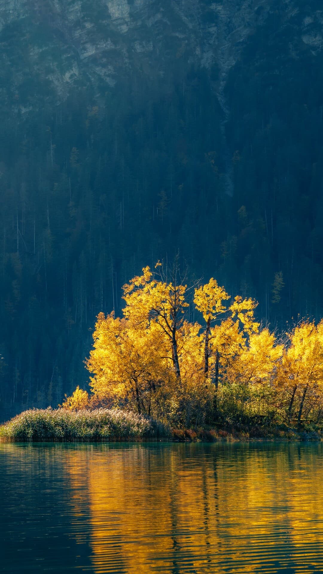 Aesthetic Wallpaper #2900