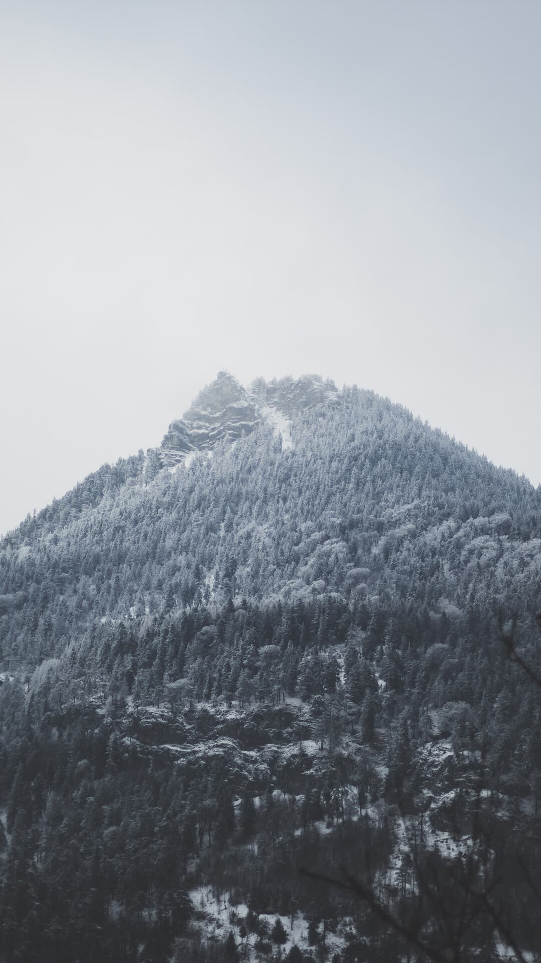 Aesthetic Wallpaper #4276