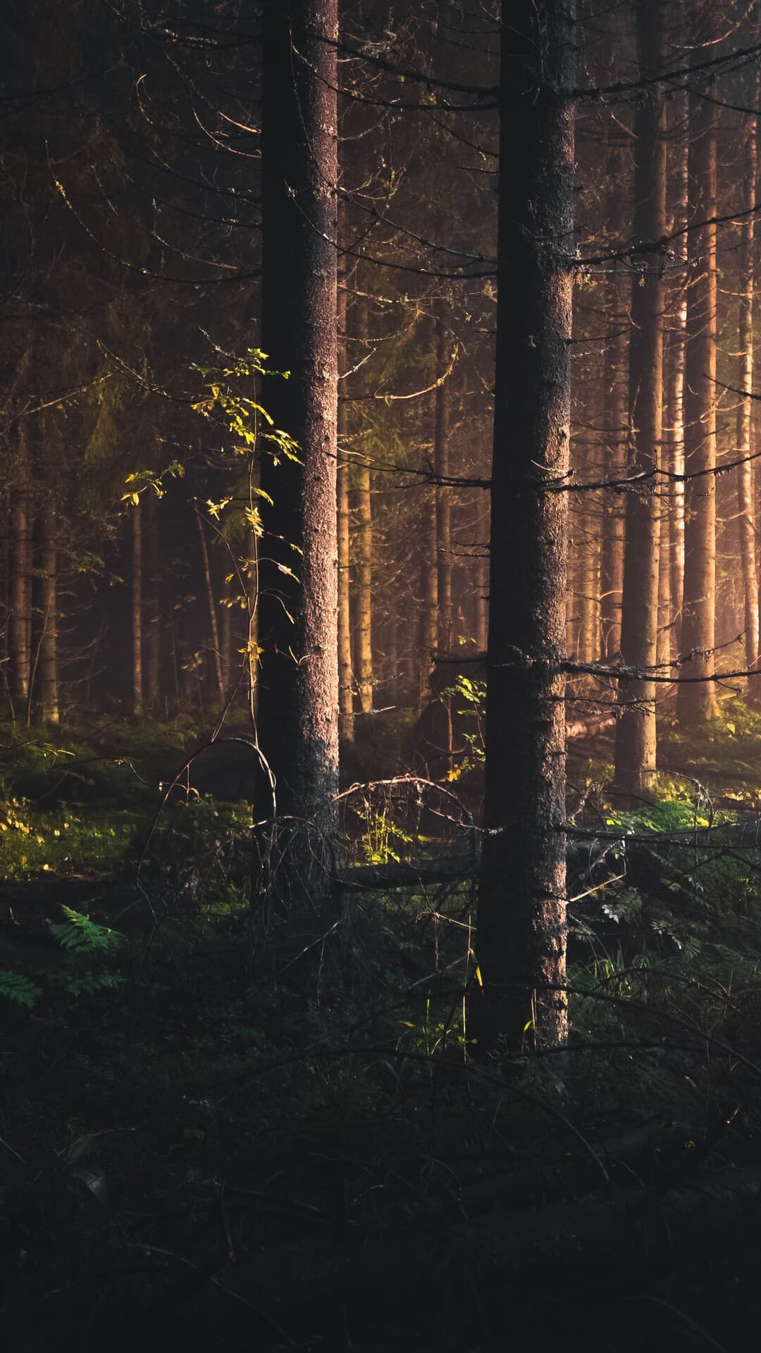 Aesthetic Wallpaper #33