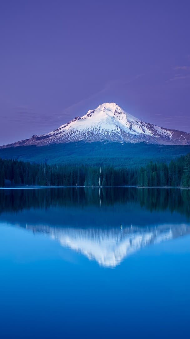 Aesthetic Wallpaper #1576