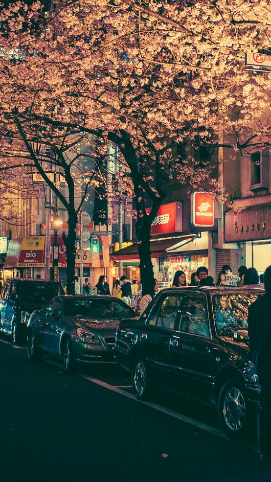 Aesthetic Wallpaper #5345