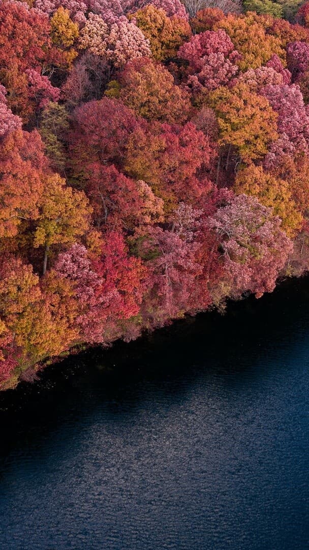 Aesthetic Wallpaper #1120