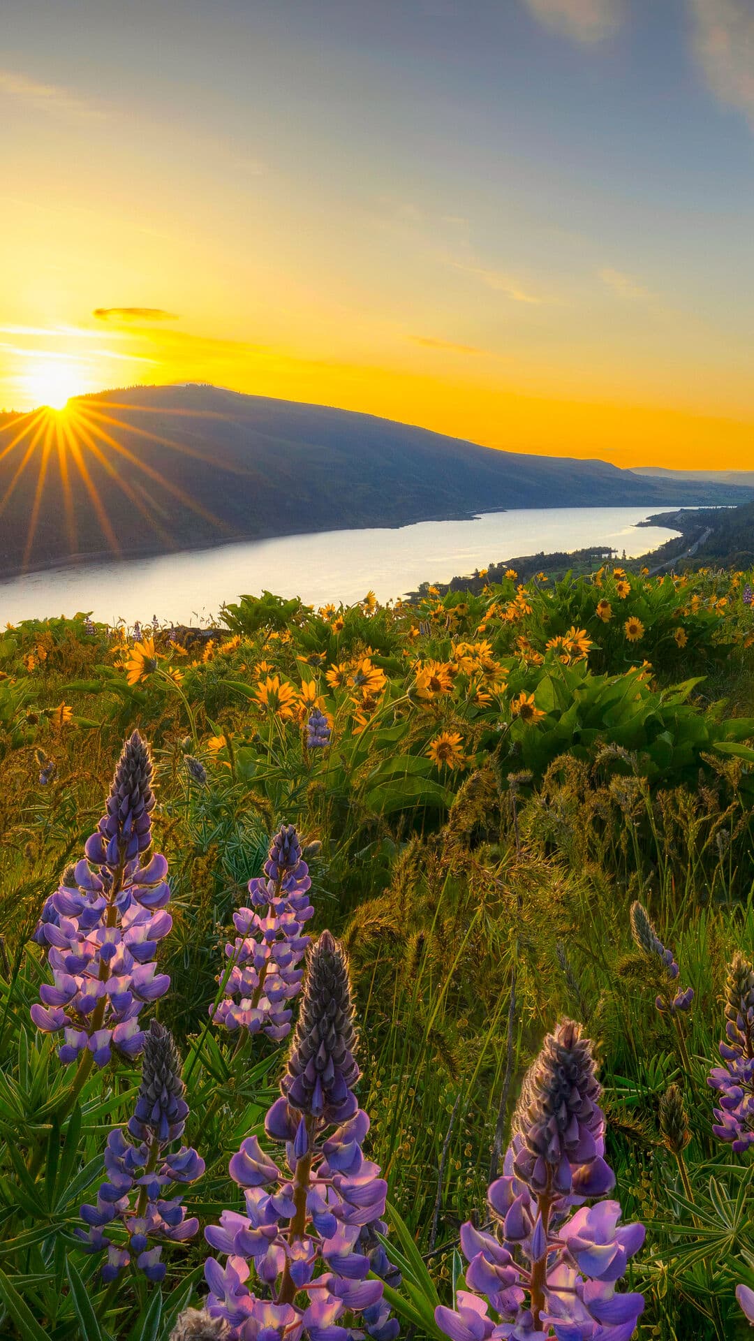 Aesthetic Wallpaper #4854