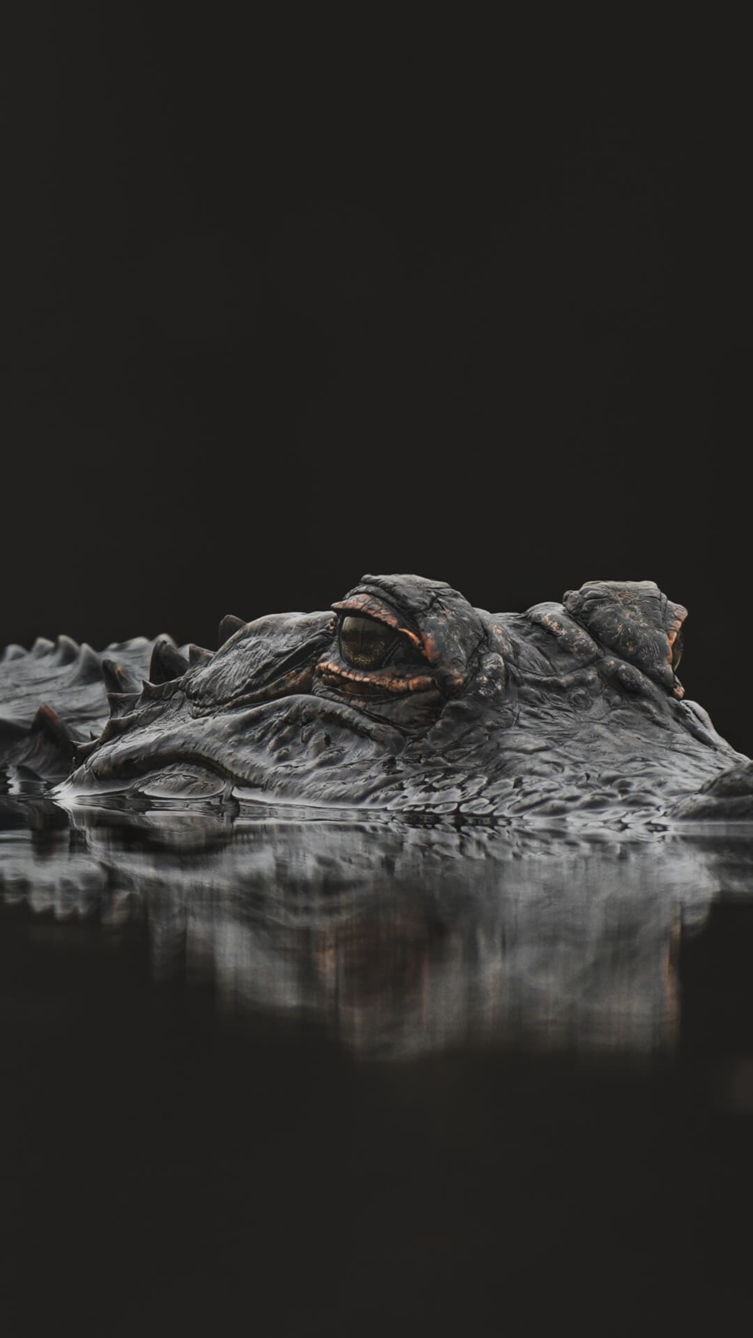 Aesthetic Wallpaper #1156