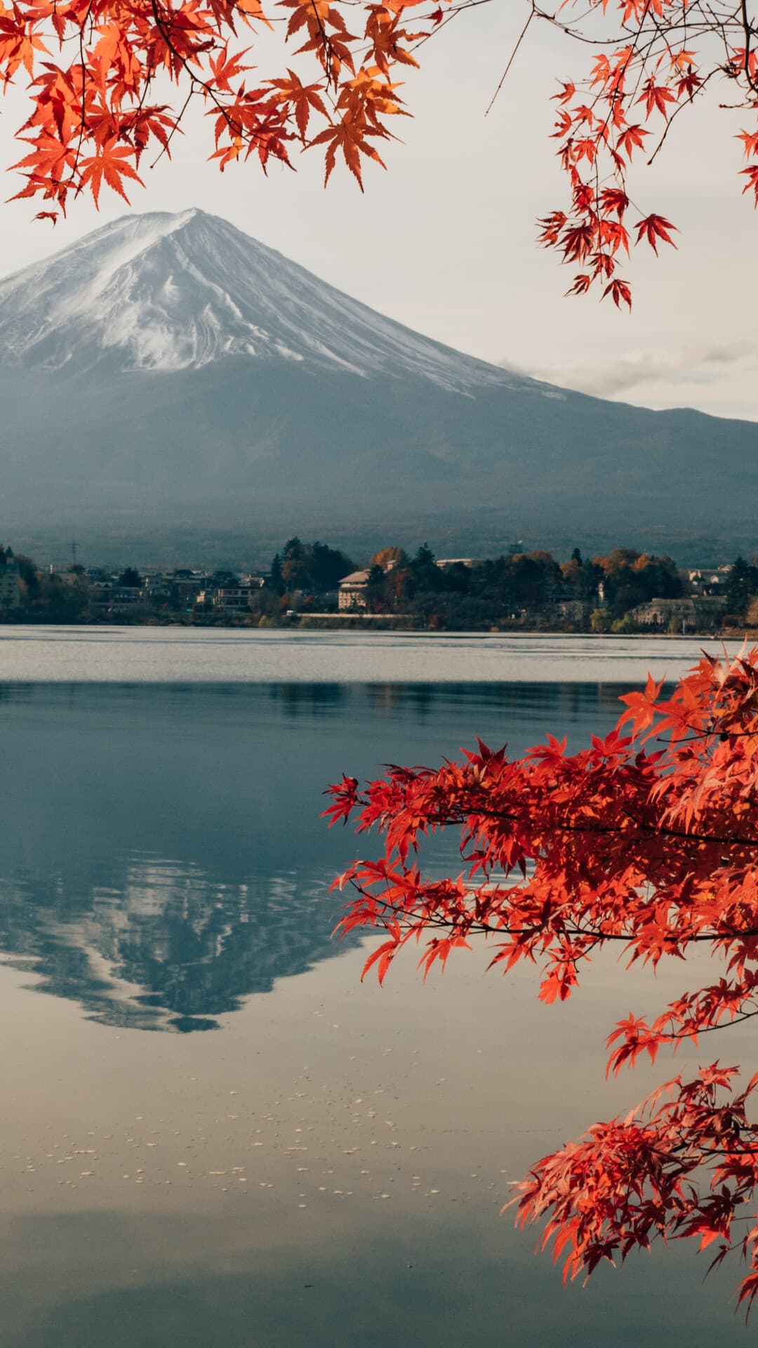 Aesthetic Wallpaper #4791