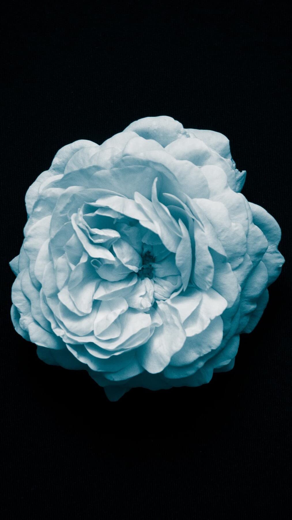 Aesthetic Wallpaper #1178