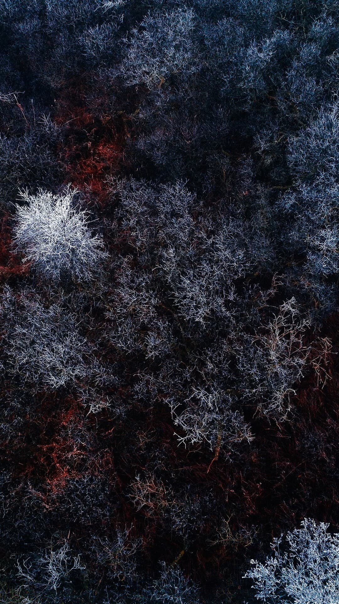 Aesthetic Wallpaper #681