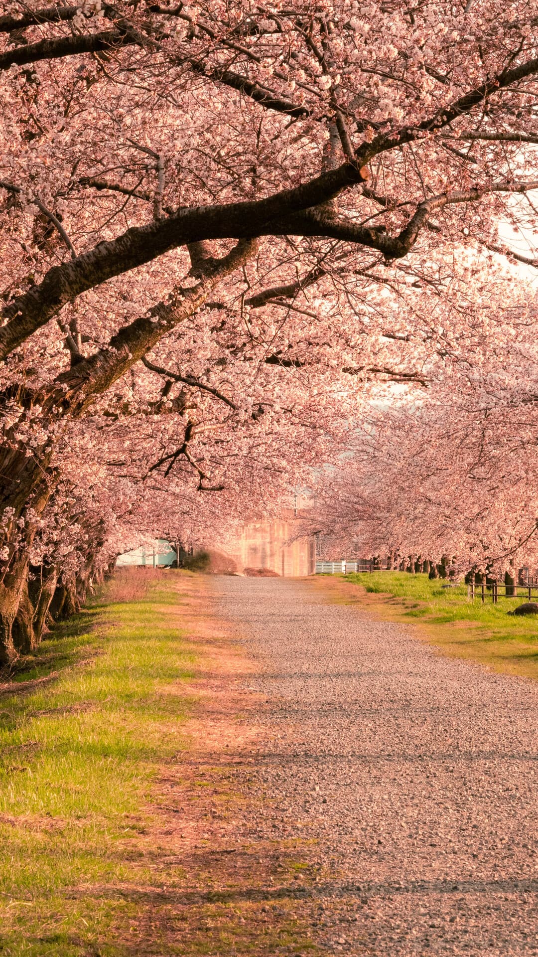 Aesthetic Wallpaper #3276