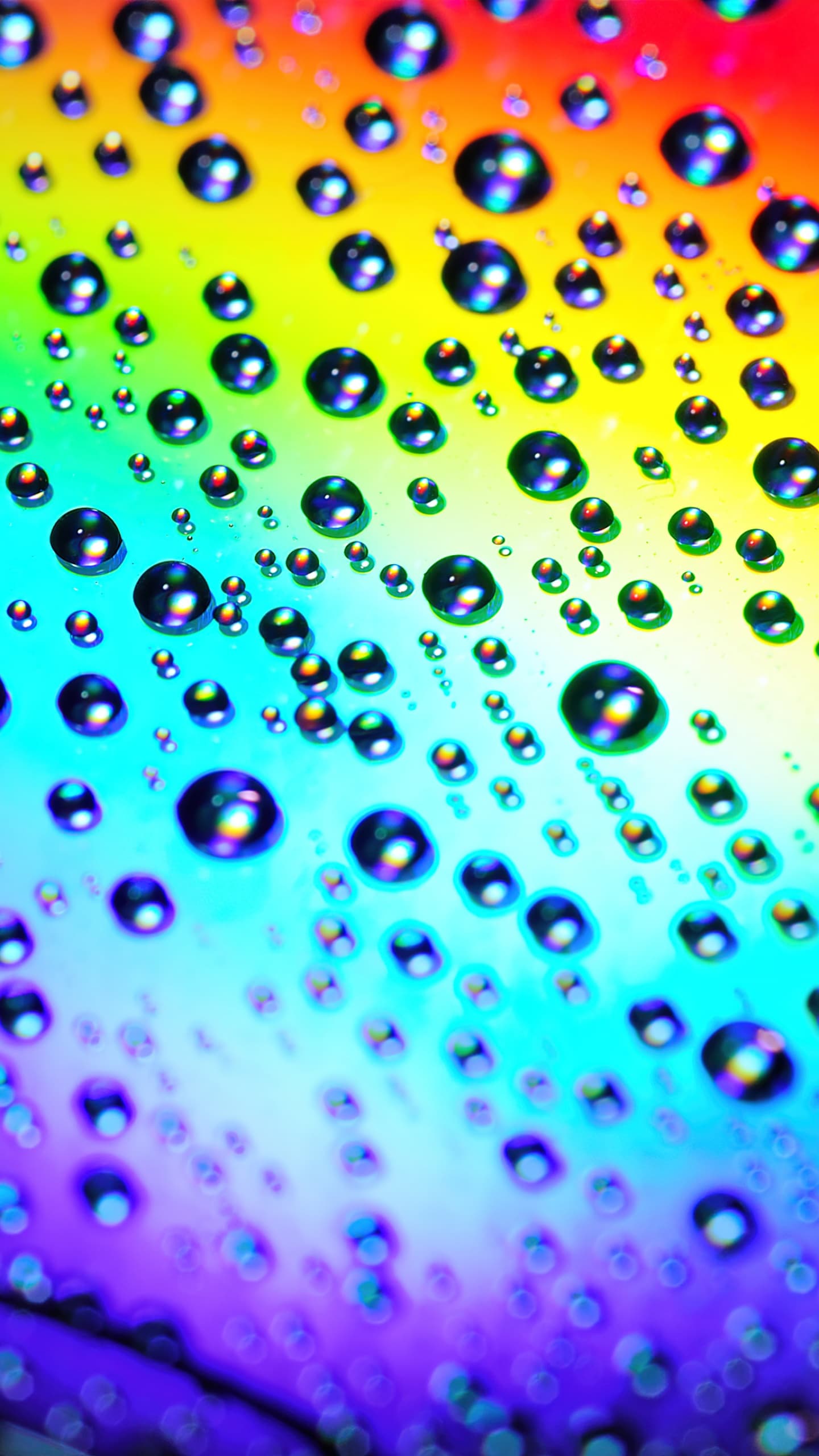Water Droplets Rainbow Macro Colorful Drops x