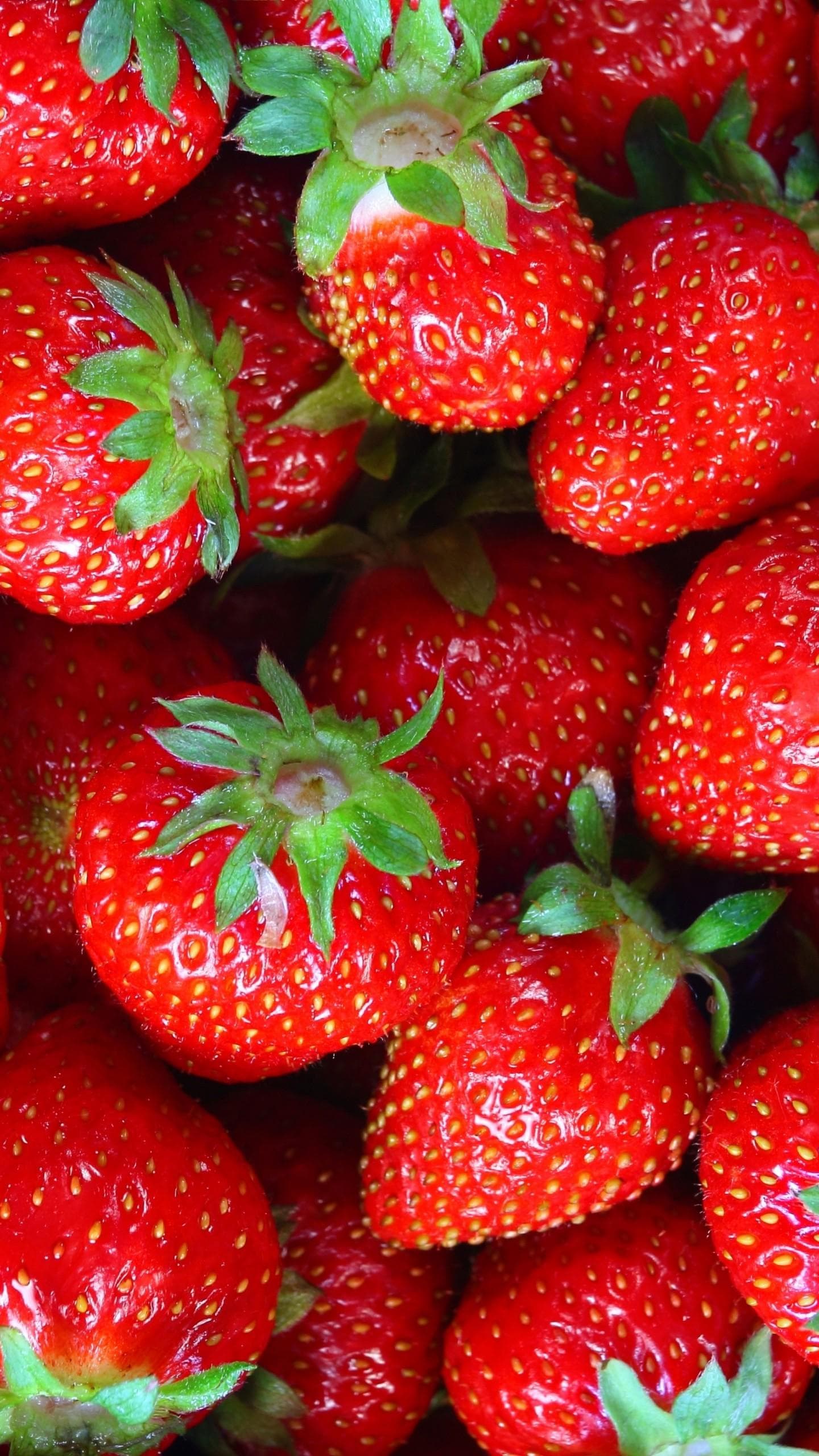 Wp Fruit Mobile Wallpapers - free HD phone wallpaper for iPhone and Android, 1284x2778