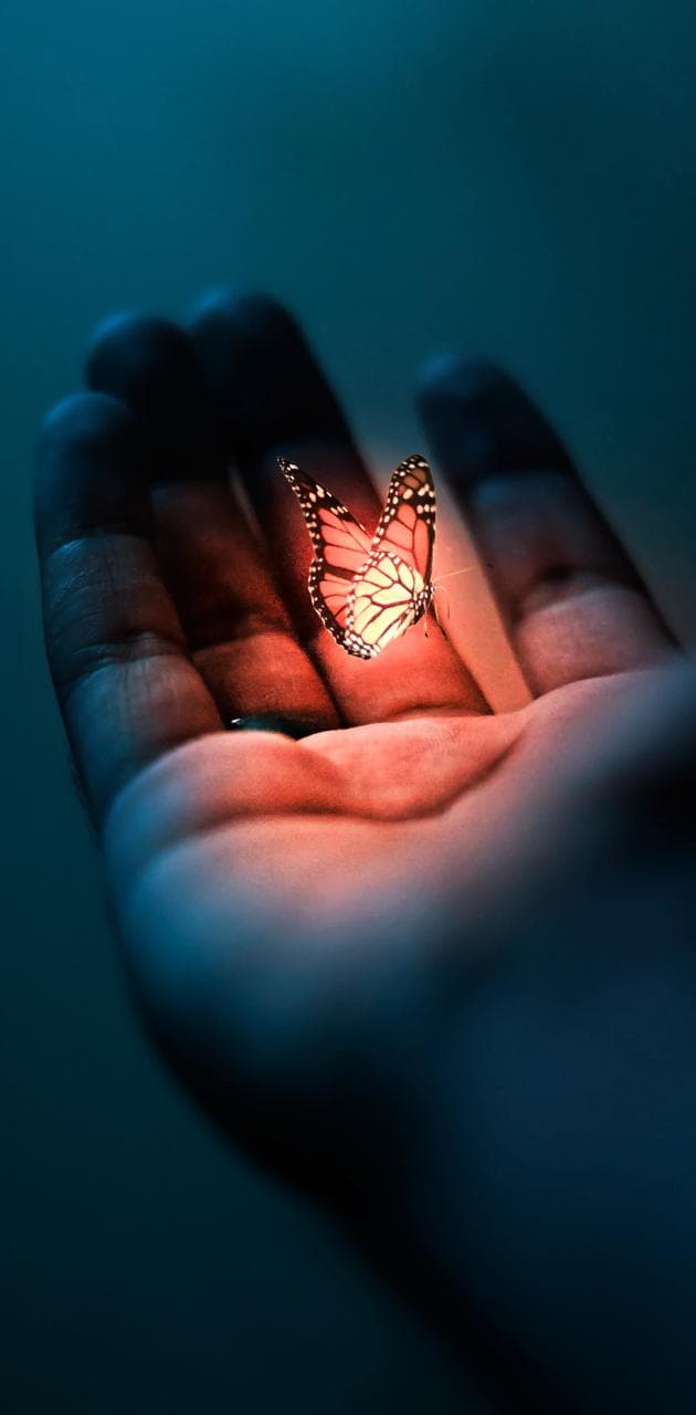 Wp Glowing Butterfly Wallpapers