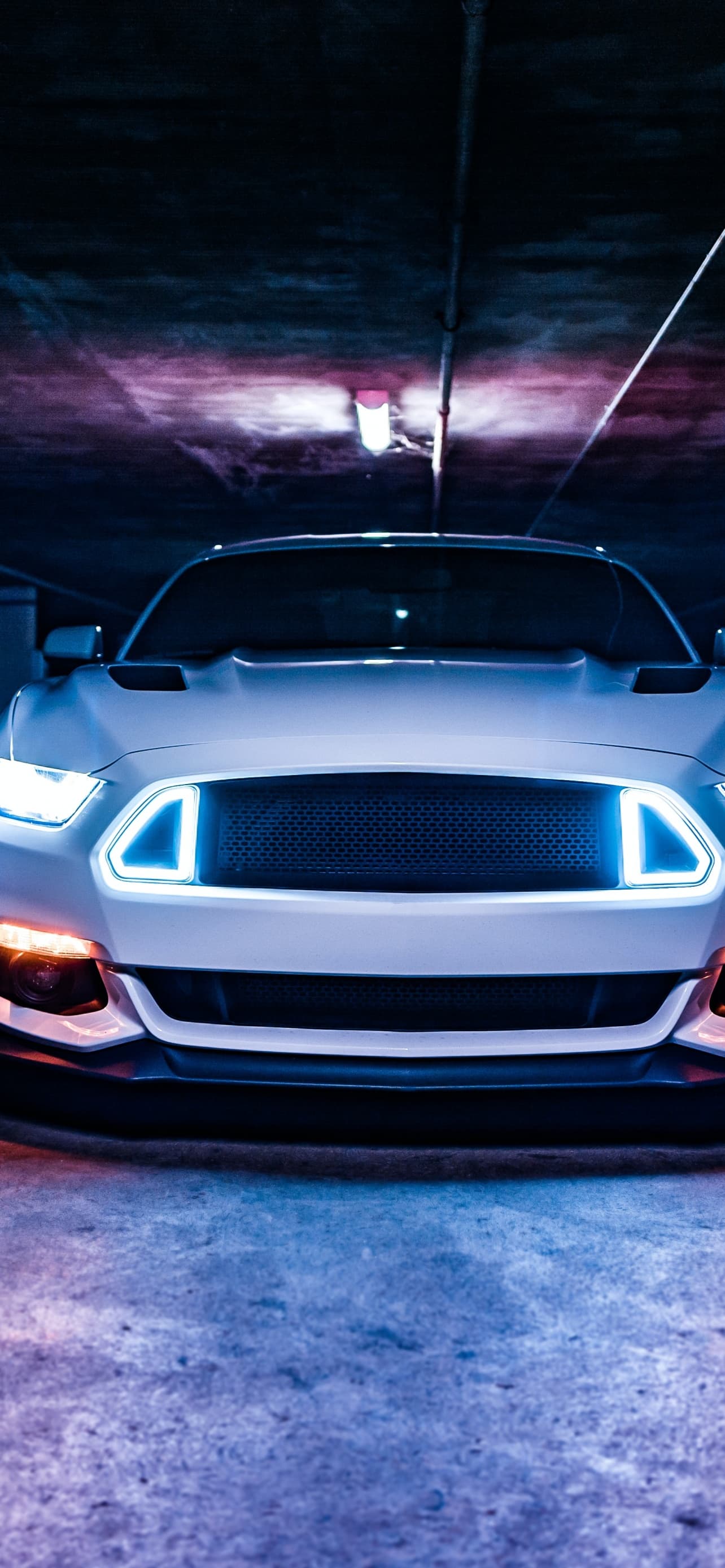 Ford Mustang Gt White Cars Sports Cars Custom Tuning x - free HD phone wallpaper for iPhone and Android, 1284x2778