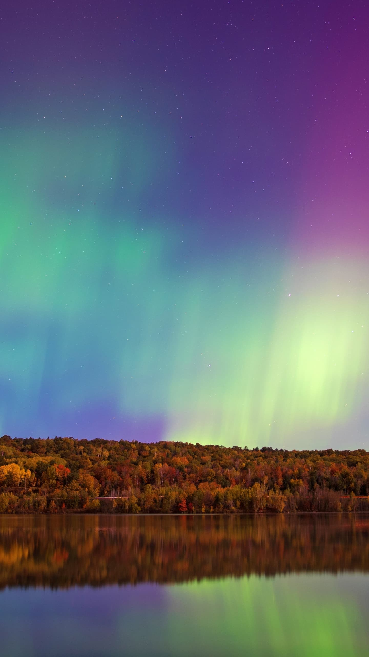 Aurora Sky Forest Trees Body Of Water Reflection Northern x