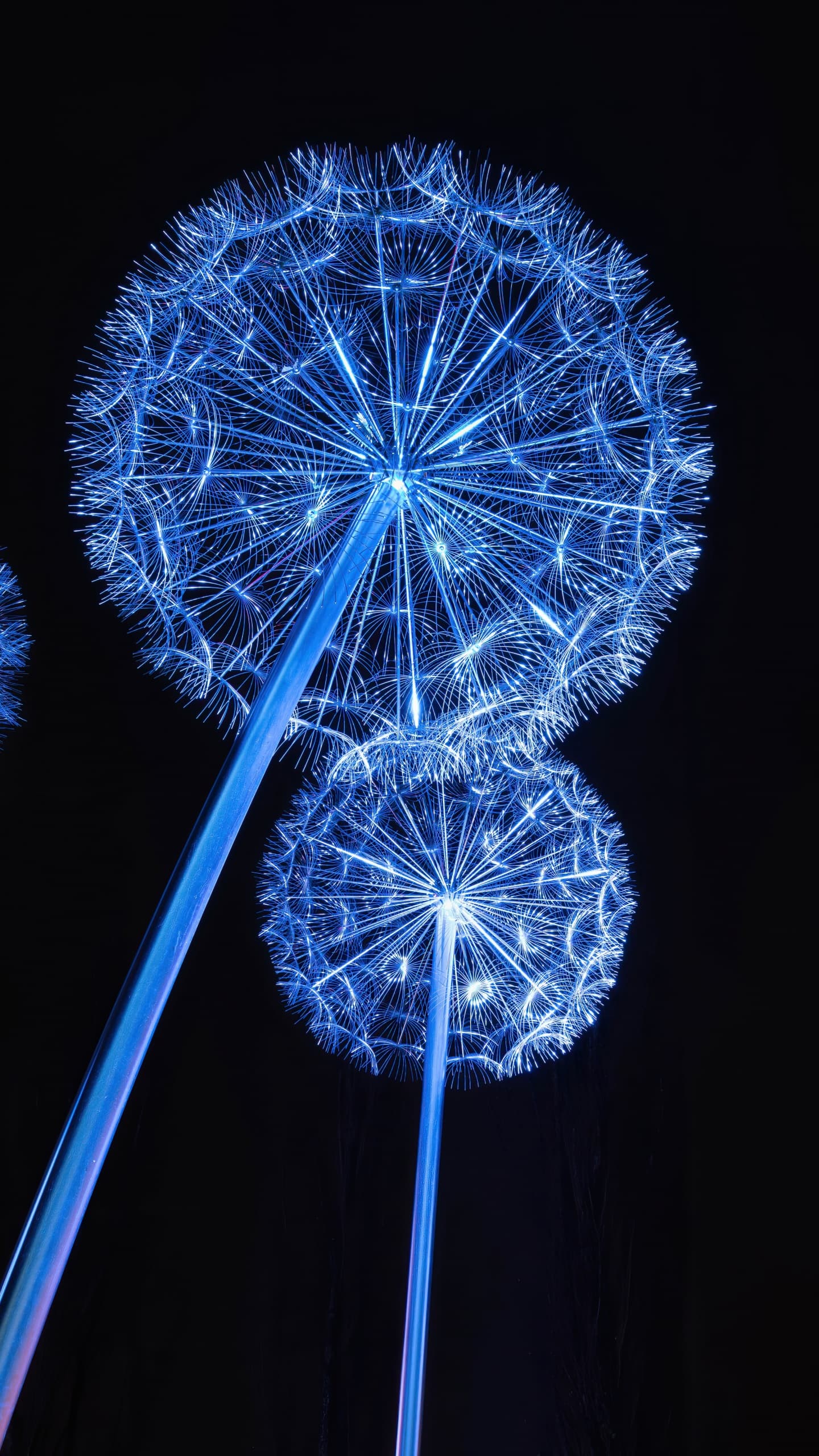 Dandelion Lights Dandelion Flowers Tourist Attraction Night x - free HD phone wallpaper for iPhone and Android, 1284x2778