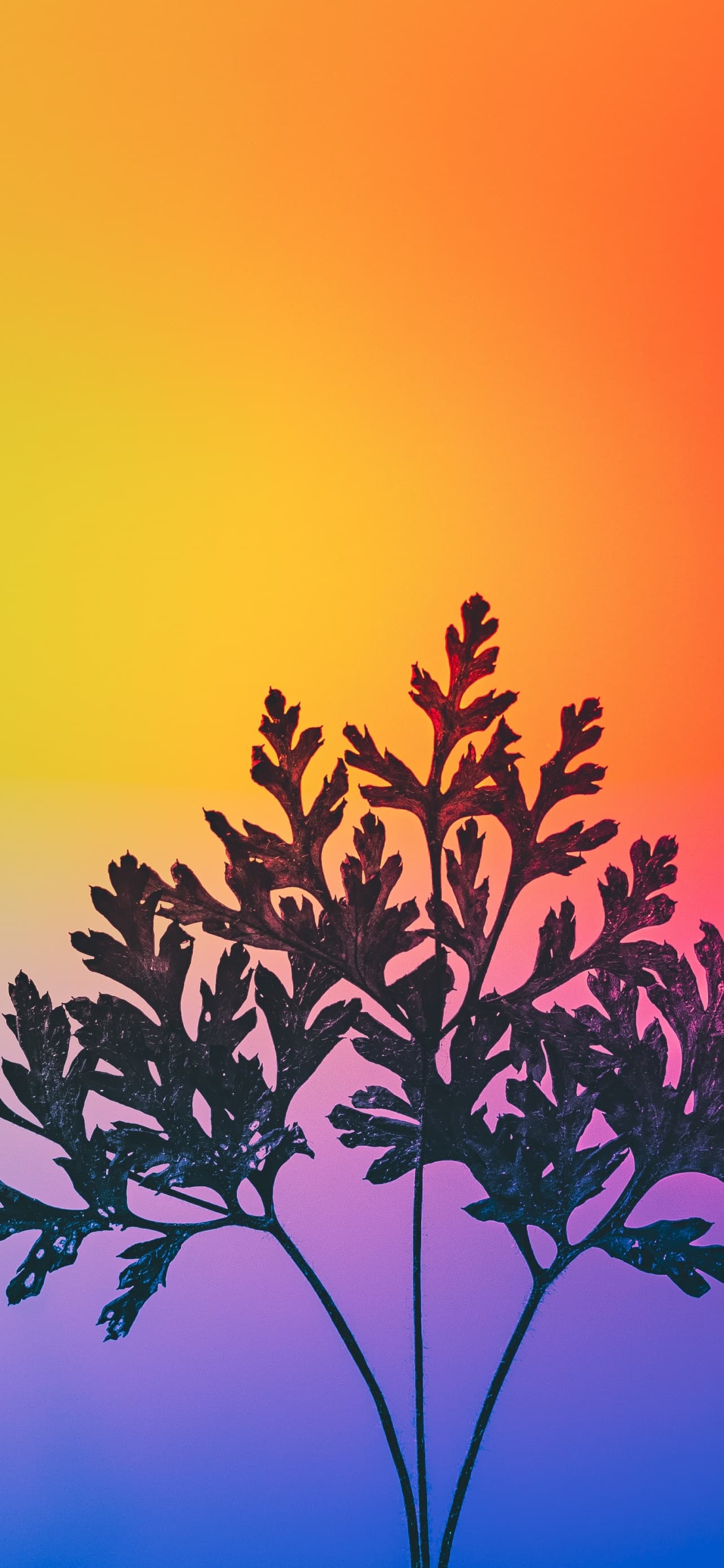 Herbal Plant Gradient Background Rgb Light Colorful x - free HD phone wallpaper for iPhone and Android, 1284x2778