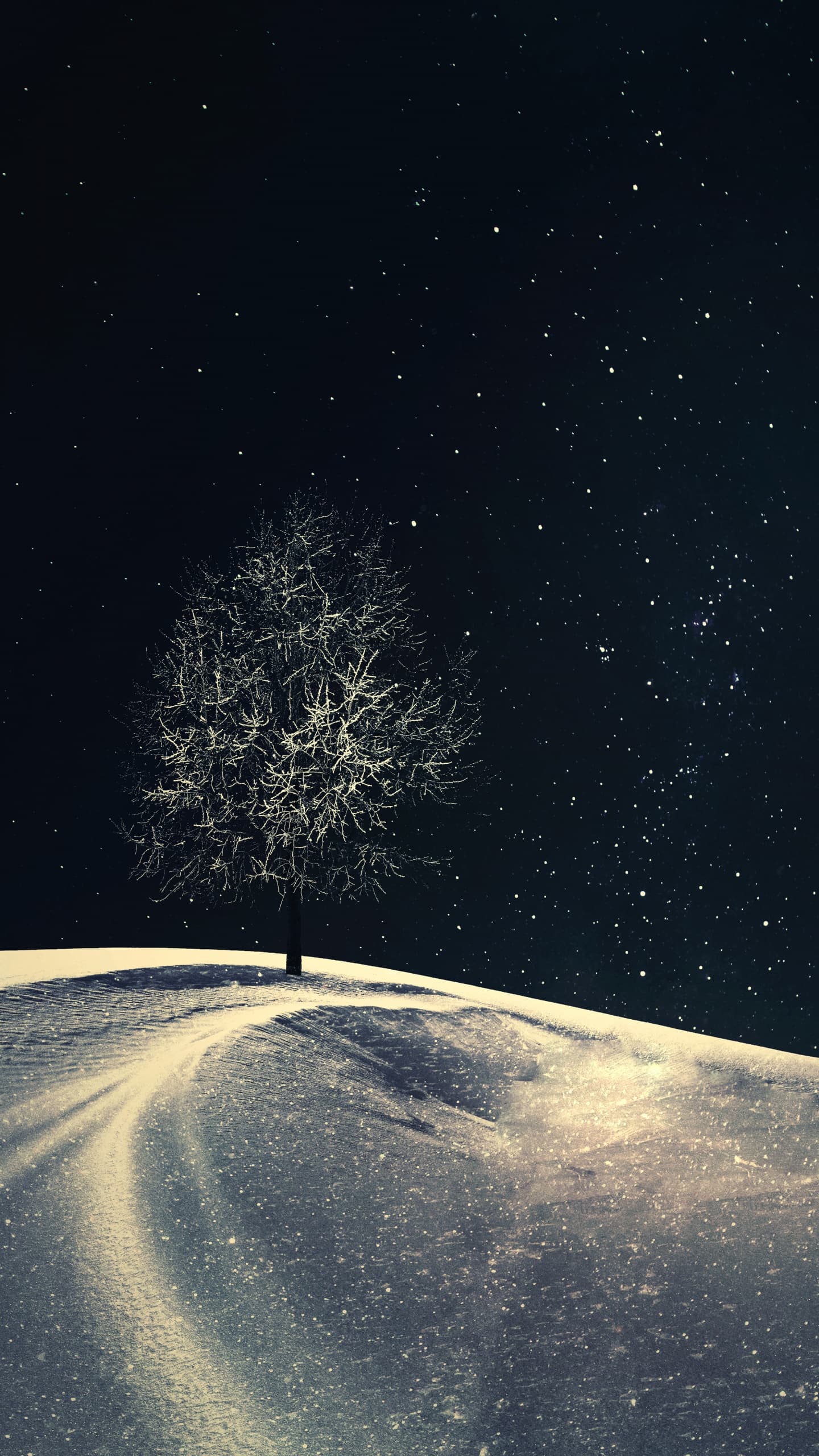 Lone Tree Crescent Moon Night Starry Sky Night Sky Winter x