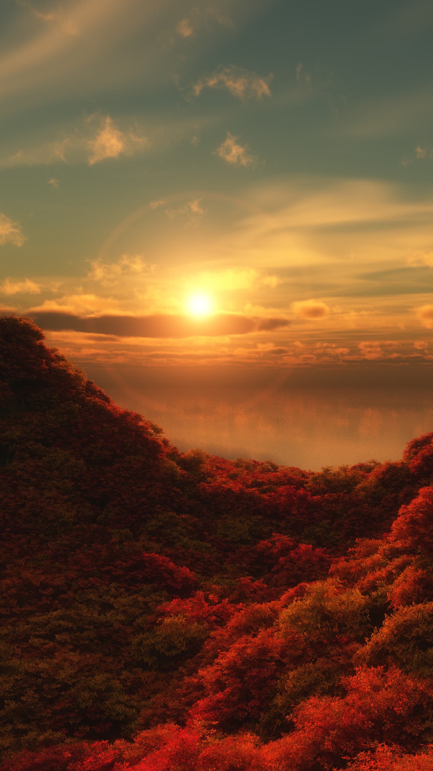 Red Trees Sunrise Cloudy Sky Forest Aerial View Beautiful 5k x