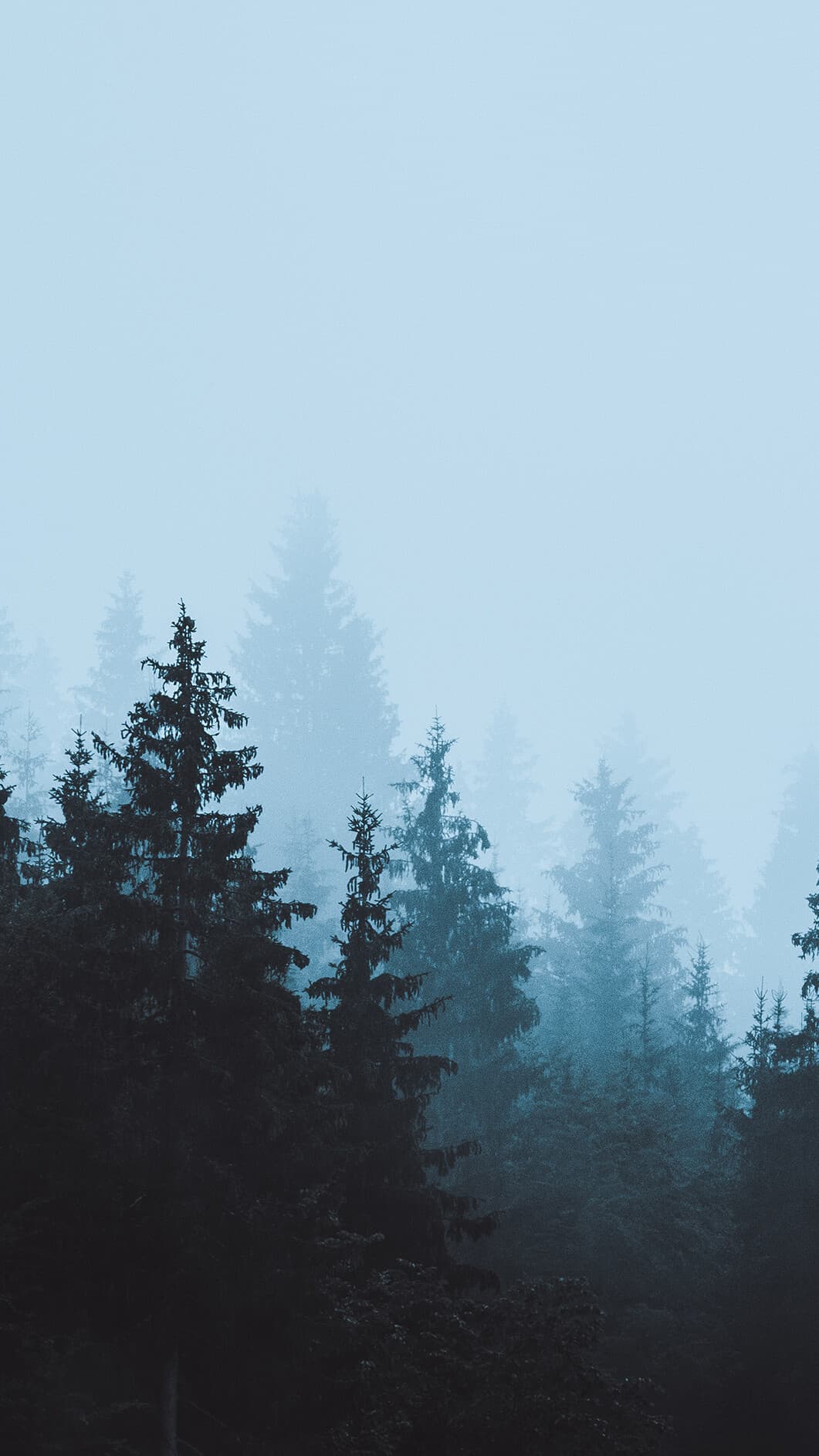 Aesthetic Wallpaper #4649